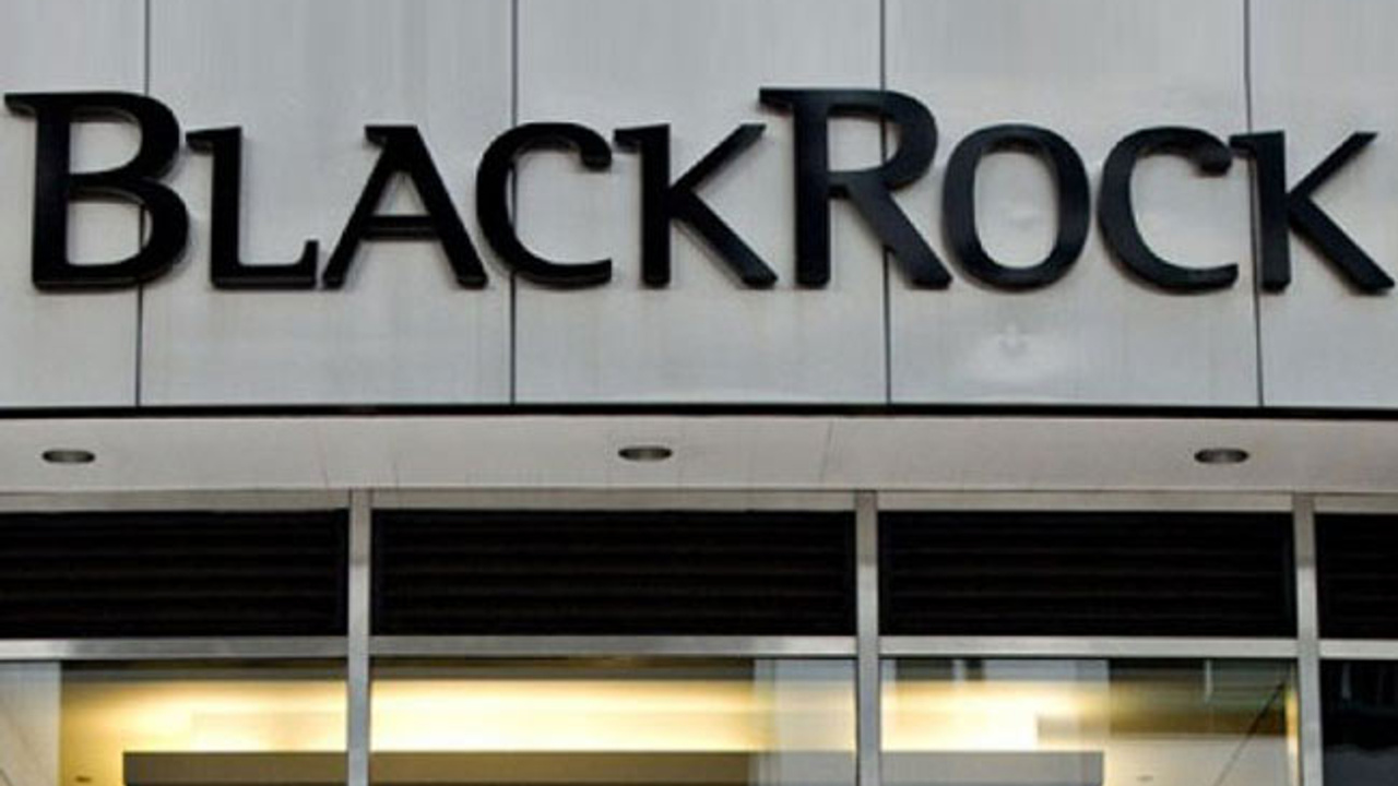 Корпорация блэкрок. Blackrock компания. Blackrock банки. Blackrock эмблема. Директор Blackrock.