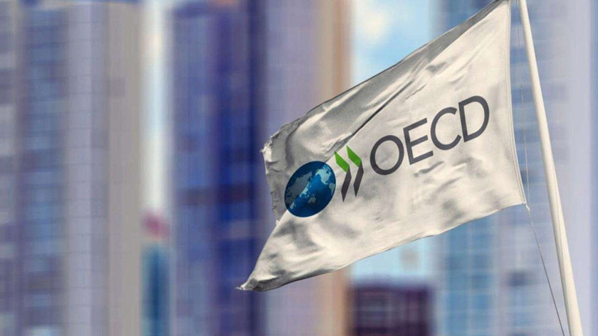 OECD'den Türkiye açıklaması