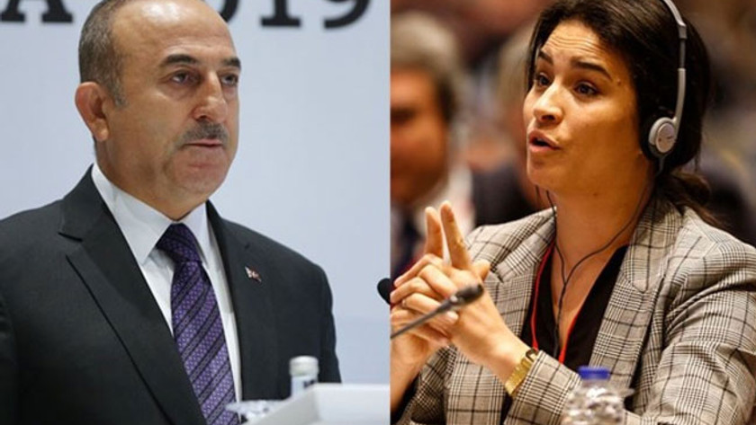 Çavuşoğlu: Fransa kendi karanlık tarihine baksın