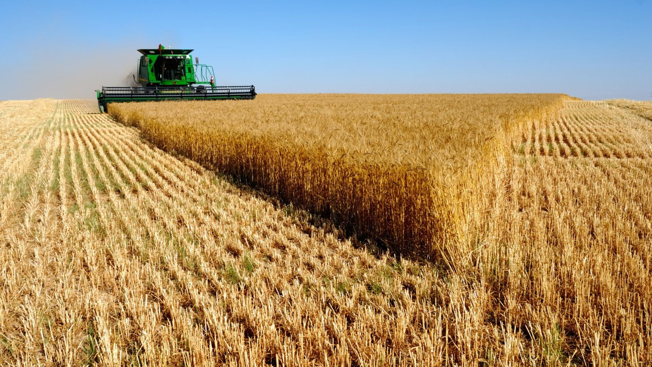 Tarım ÜFE yıllıkta yüzde 156 arttı