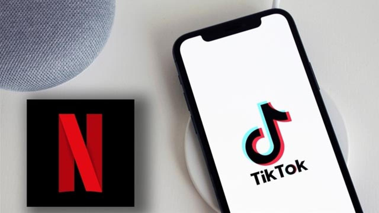 TikTok ve Netflix, Rusya'daki operasyonlarını durdurdu