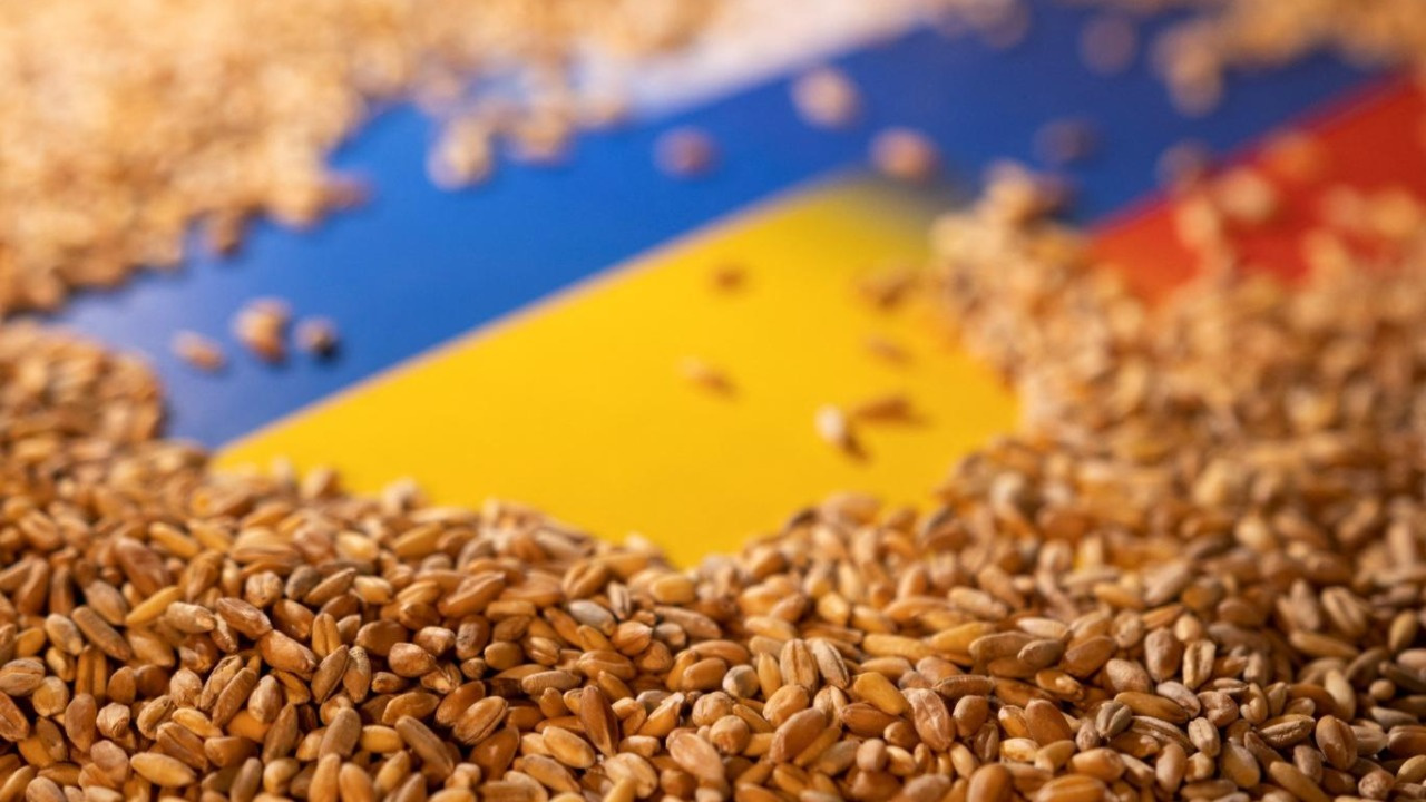 2 tahıl gemisi daha Ukrayna'dan yola çıktı
