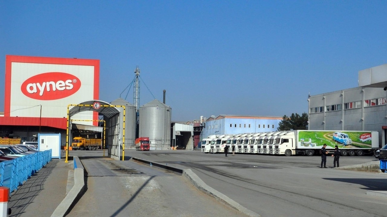 Aynes Gıda, Türkiye Tarım Kredi Kooperatifleri’ne satılıyor