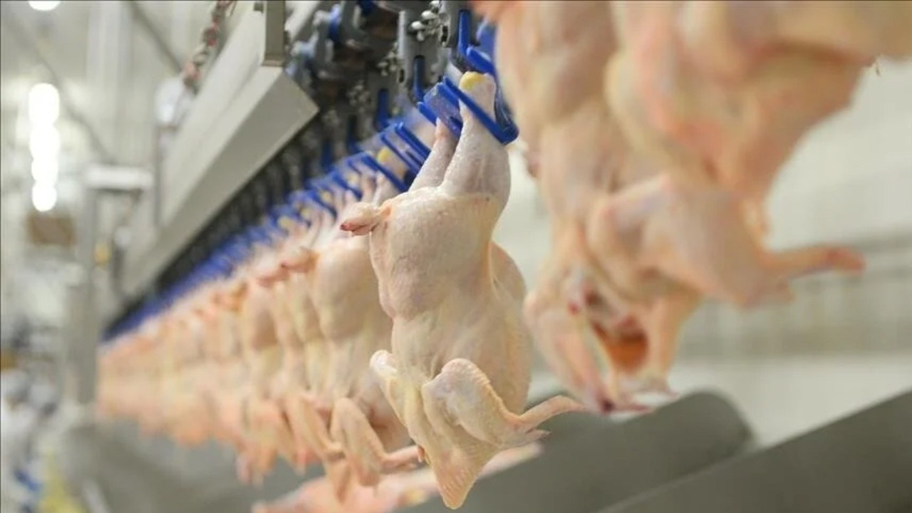 Tavuk eti ihracatına sınırlama kararı