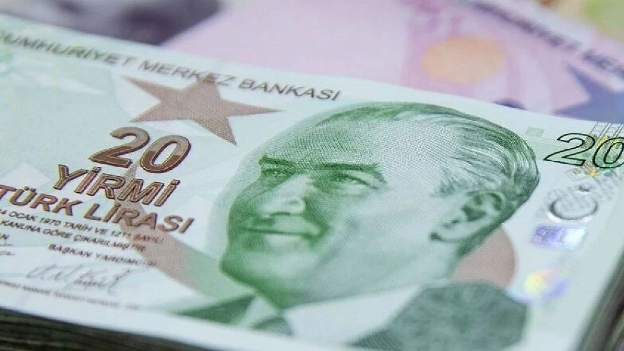 Yeni 20 TL'lik banknotlar tedavüle girdi